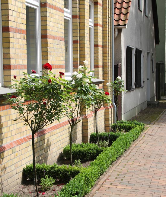 Fassade 4